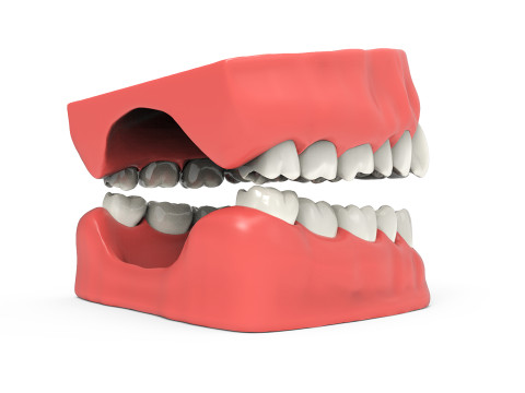 Teeth 3D Model