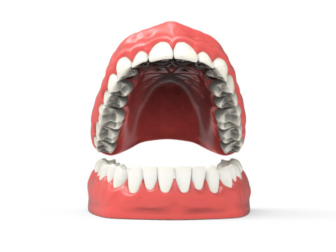 Teeth 3D Model