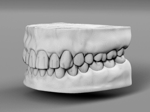 Teeth 3D Model