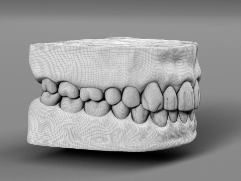 Teeth 3D Model