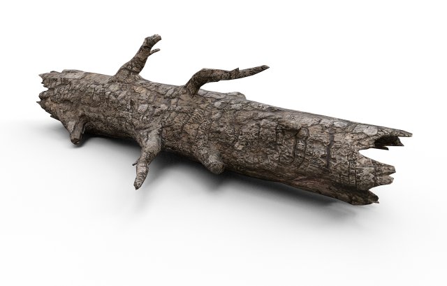 Old wood log Model 3D .c4d .max .obj .3ds .fbx .stl .blend 