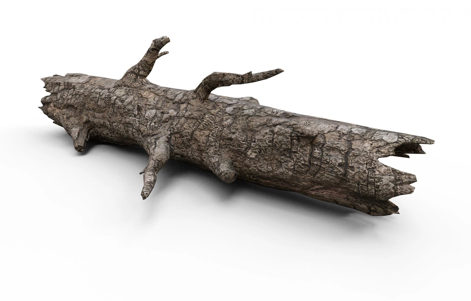 古い木の丸太 3Dモデル .c4d .max .obj .3ds .fbx .stl .blend 