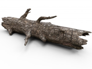 Old wood log 3D Model