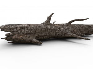 Old wood log Model 3D