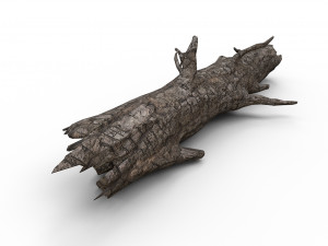 Old wood log Model 3D