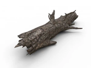 古い木の丸太 3Dモデル