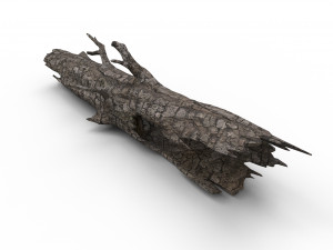 Old wood log Model 3D