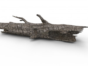 Old wood log Model 3D