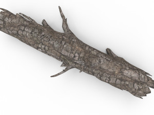 Old wood log Model 3D