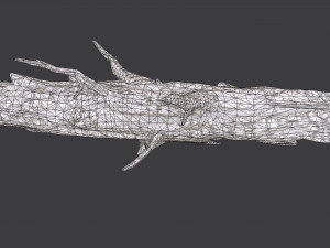 Old wood log Model 3D
