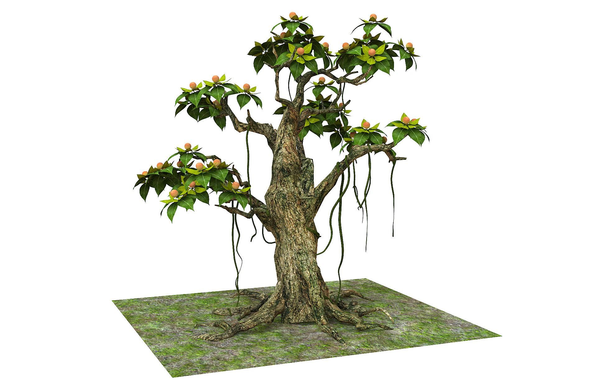 Cartoon fruit tree 3D Model .c4d .max .obj .3ds .fbx .stl .blend 