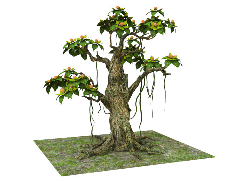 Cartoon fruit tree 3D 모델