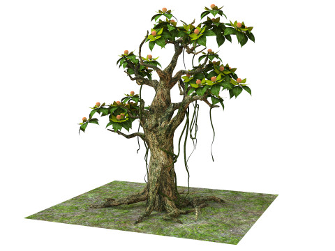 Cartoon fruit tree Modelo 3D