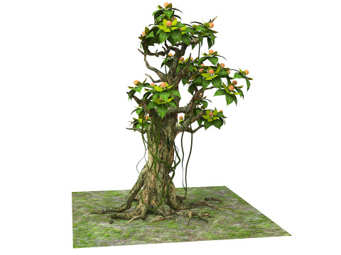 Cartoon fruit tree Modelo 3D