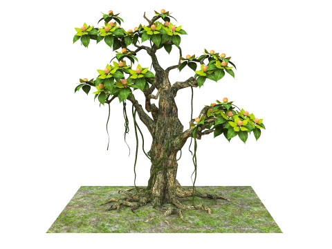 Cartoon fruit tree Modelo 3D