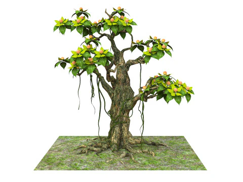 Cartoon fruit tree 3D Model