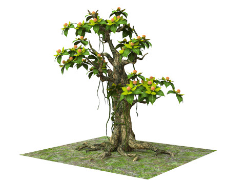 Cartoon fruit tree Modelo 3D