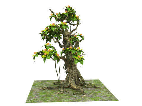 Cartoon fruit tree Modelo 3D