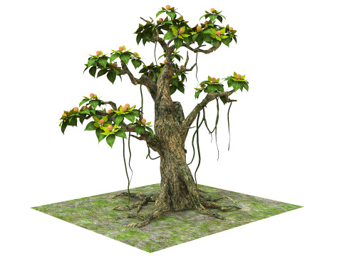 Cartoon fruit tree Modelo 3D