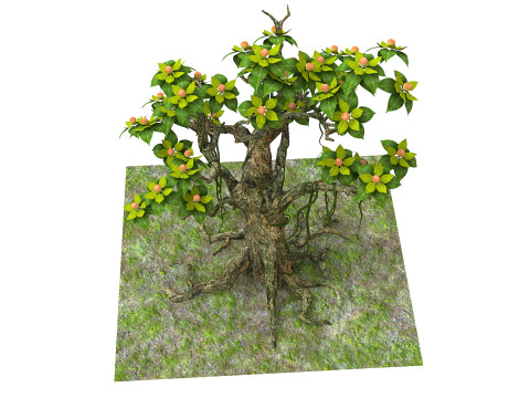 Cartoon fruit tree Modelo 3D