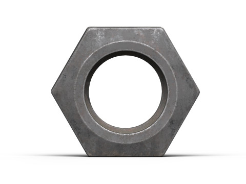 Old nut Modello 3D