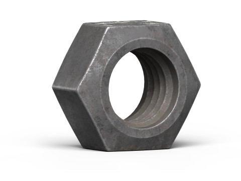 Old nut Modello 3D