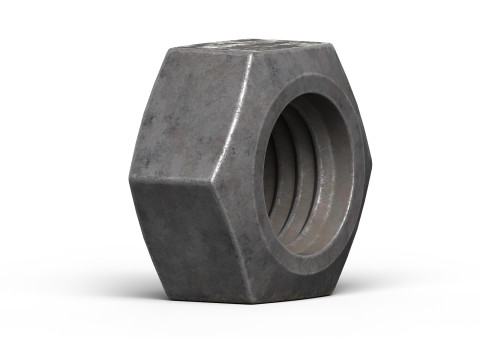 Old nut Modello 3D