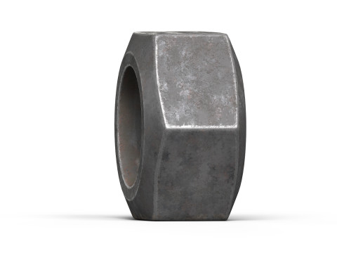 Old nut Modello 3D