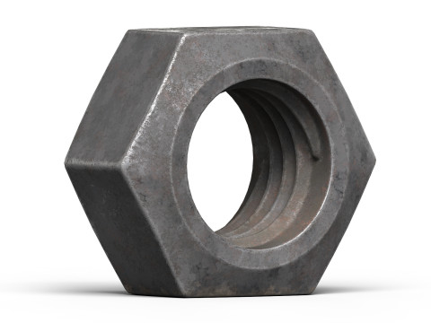 Old nut Modello 3D
