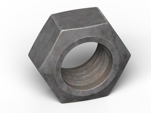 Old nut Modello 3D
