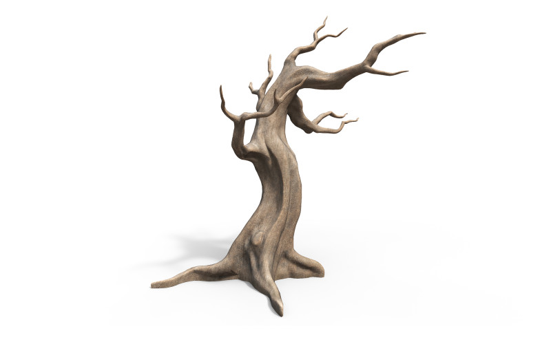 Albero morto e secco Modello 3D .c4d .max .obj .3ds .fbx .stl .blend 