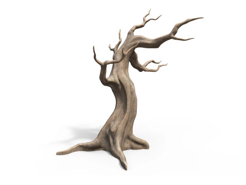 Albero morto e secco Modello 3D
