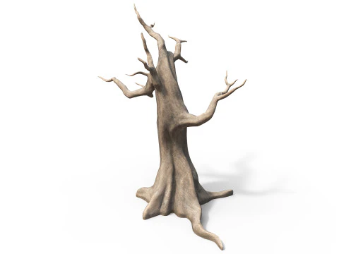 Dead dry tree 3D Model