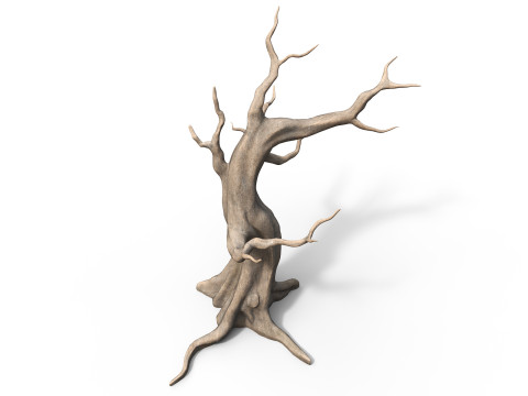 Albero morto e secco Modello 3D