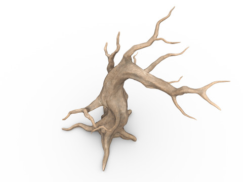Albero morto e secco Modello 3D