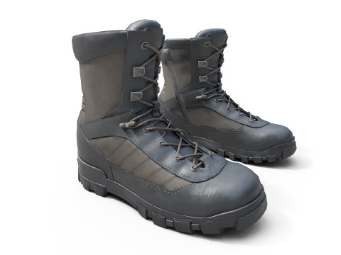Military boots 3D Model