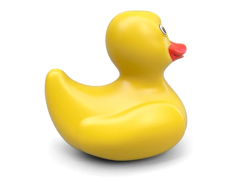 Toy rubber duck 3D Model