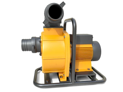 Electric Water Transfer Pump 3D Model