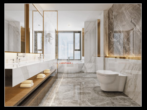 modern toilet bathroom Modello 3D