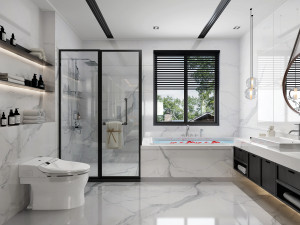 modern toilet bathroom 3Dモデル