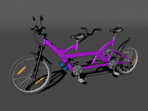 couple cycle 3D 模型