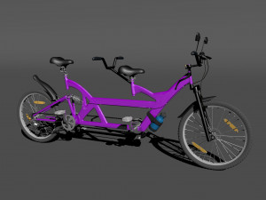 couple cycle 3Dモデル