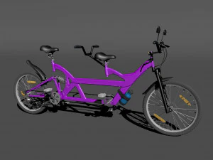 couple cycle 3D Model
