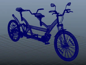 couple cycle 3D Model