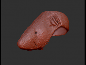 shark zombie ring 3d print model 3D 打印模型