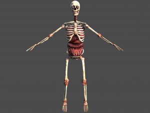 skilet Modèles 3D en vedette