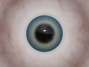 soldat 3D Print Model