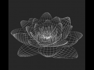lotus 3D Модель
