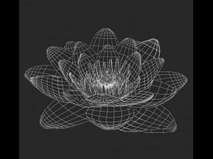 lotus 3D Model