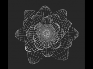 lotus 3D Модель